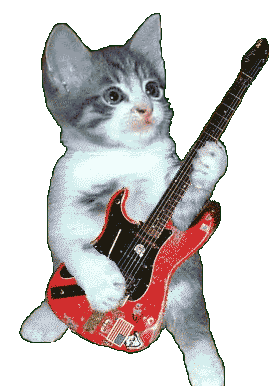 Fogos com gatos